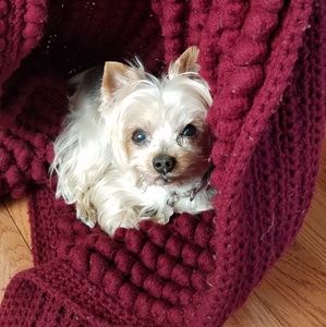 Meet your Posher, Lori